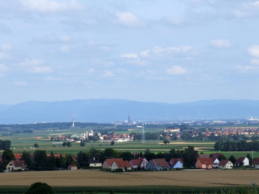 Zum nächsten Bild