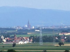 Das Münster von weitem